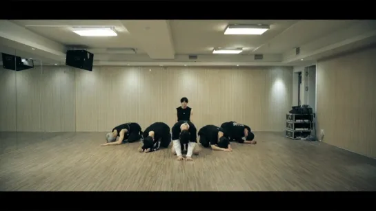 [DANCE PRACTICE]빅스(VIXX) - Fantasy Dance Practice Video