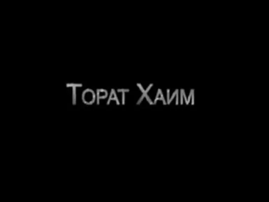 Торат Хаим