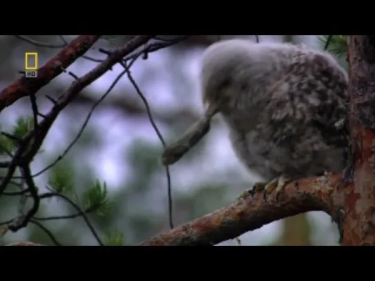 National Geographic - Урал - 6