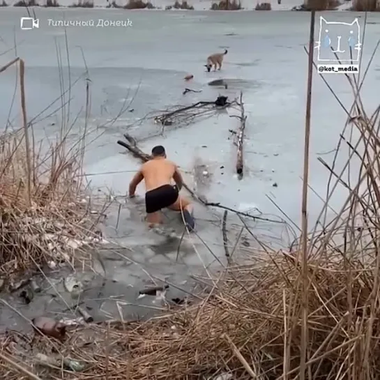 Первый Вегетарианский