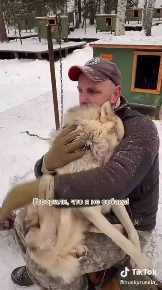 Первый Вегетарианский