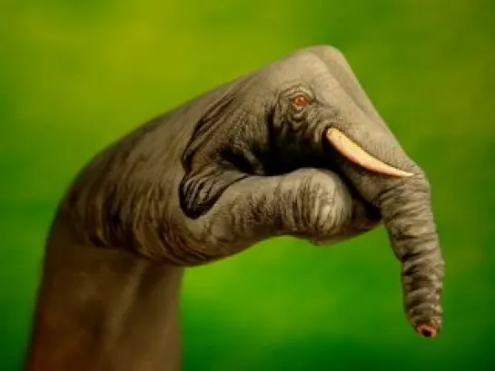 Hand Art by Guido Daniele