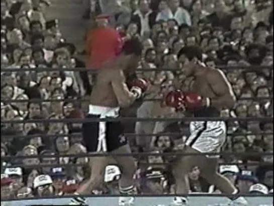 Muhammad Ali vs Ken Norton III (WBC/WBA World Heavyweight Titles) (28-09-1976)