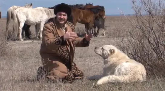 - Планета собак - Казахский тобет