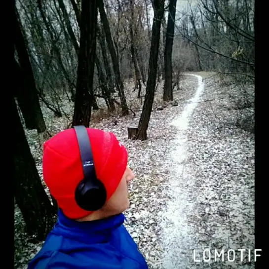 🏃🏁🌳🌲🏞🌨❄