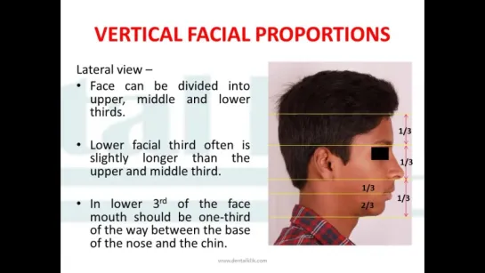 Профили лица. Учебное англоязычное видео. Гнатология. Ортодонтия. Стоматология.