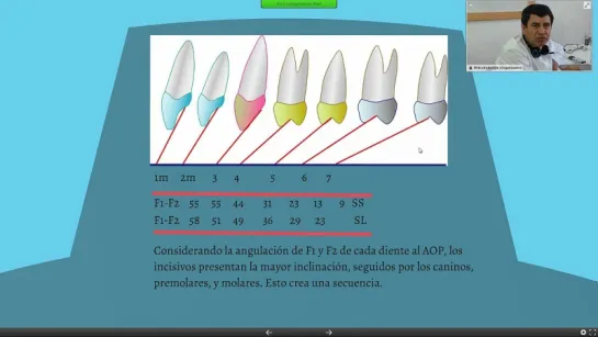 Lineas de oclusión excentricas