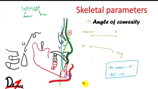 Cephalometric analysis. Учебное англоязычное видео.Ортодонтия.