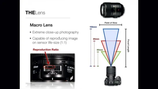 DentalCameraSystems-Lens. Дентальная фотография.