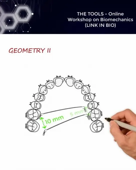 The Six Geometries with TPA. Биомеханика.