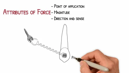 Force Parameters.  Essential Biomechanics. Ортодонтия.