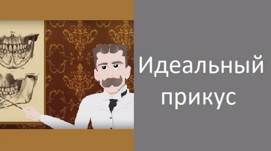 Идеальная окклюзия - правильный прикус. Пропедевтика - ортодонтия, стоматология