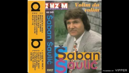 Uragan Muzik ★❤★ Saban Saulic - Takav je Kole - (Audio 1995)