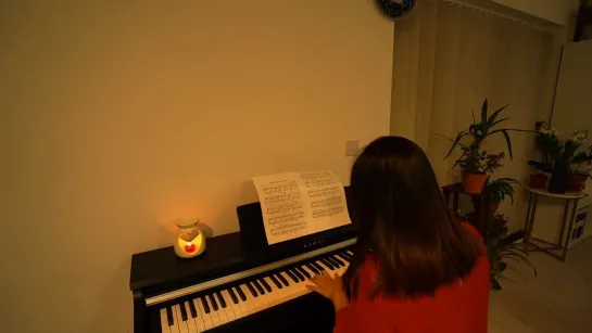 When The Love Falls - Yiruma (‘Winter Sonata’ OST)   Piano Cover