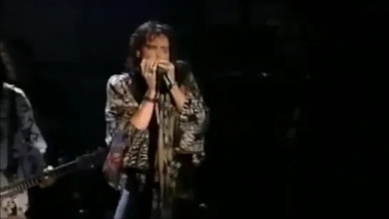 Aerosmith - Cryin’ (Live at the Woodstock festival in Saugerties, New York, U.S on 13 August 1994)