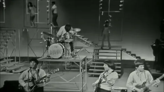 The Barbarians - Hey Little Bird (T.A.M.I. Show 1964)