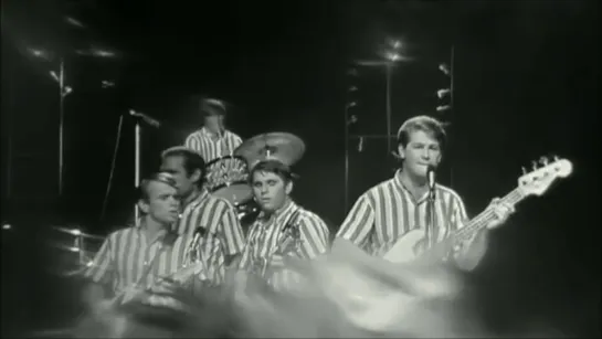 The Beach Boys - Surfer Girl (T.A.M.I. Show 1964)