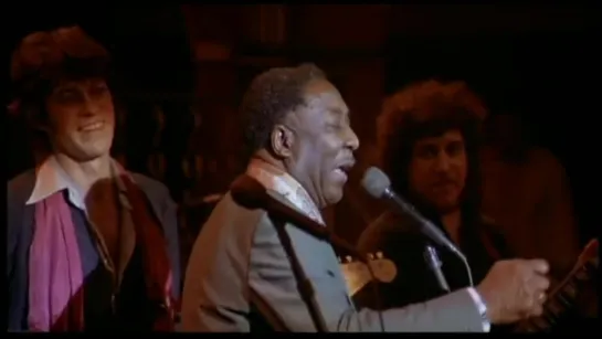 The Band feat. Muddy Waters - Mannish Boy (Live at Winterland Ballroom in San Francisco on November 25, 1976)