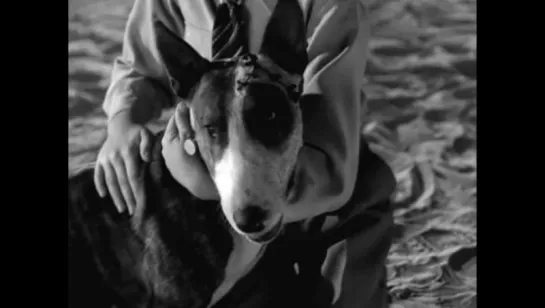 Frankenweenie (1984)