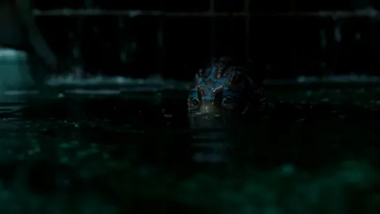 Форма воды (The Shape of Water) 2017, русский трейлер