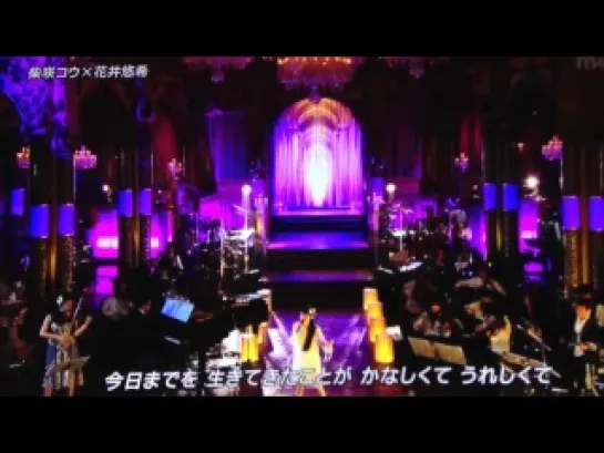 [TV-Music] Shibasaki Kou - My perfect blue (FNS 2012.12.05)