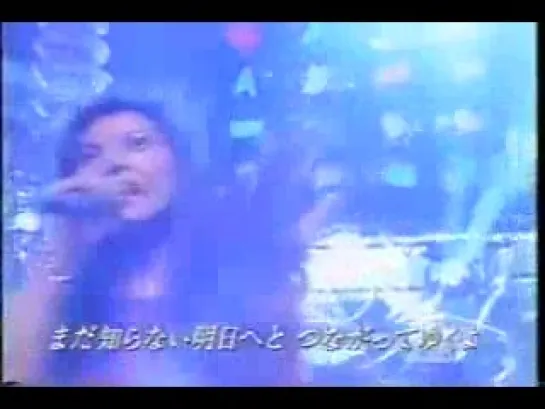 [TV-Music] Shibasaki Kou - Every Little Things (2001)