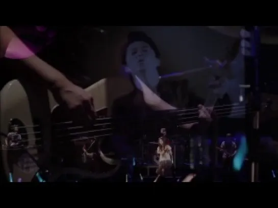 [Concert] Shibasaki Kou - Koi no Maryoku (Nekou's Live tour 2013)