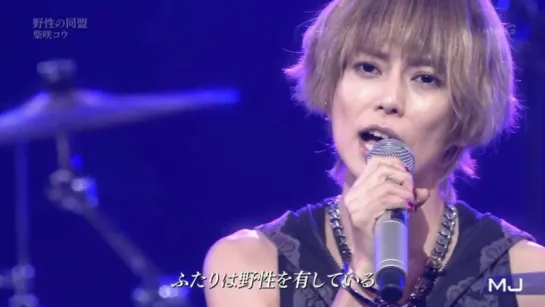 [TV] Music Japan -FULL- (15.11.16)