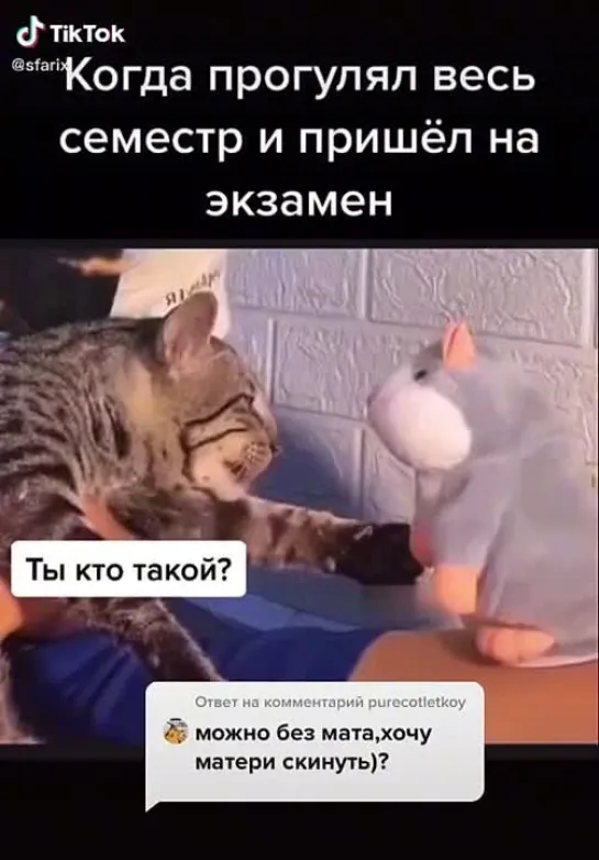 Когда прогулял весь семестр