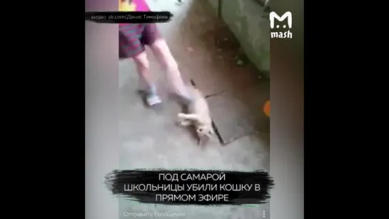 Малолетние живодёрки 18+