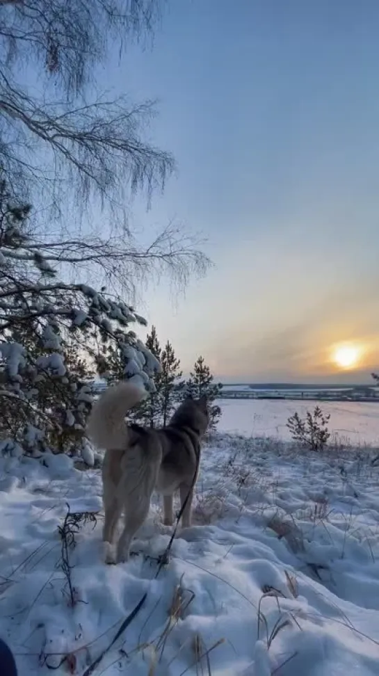 Видеофайл