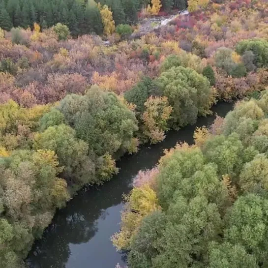 Золотая осень в Ульяновской области 😍