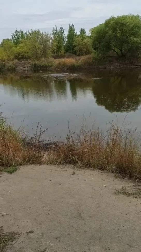 Видео от Ульяновск короче...   ¯\_(ツ)_/¯