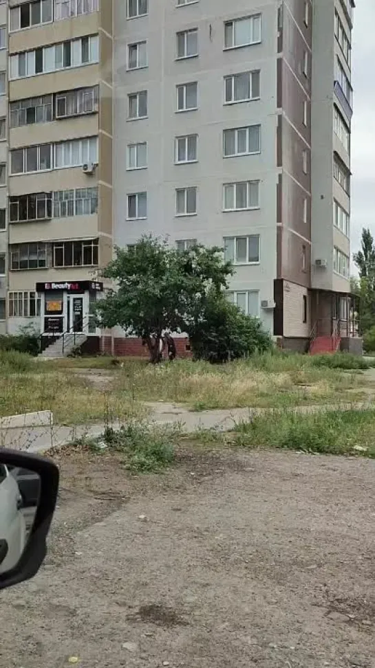 Видео от Ульяновск короче...   ¯\_(ツ)_/¯