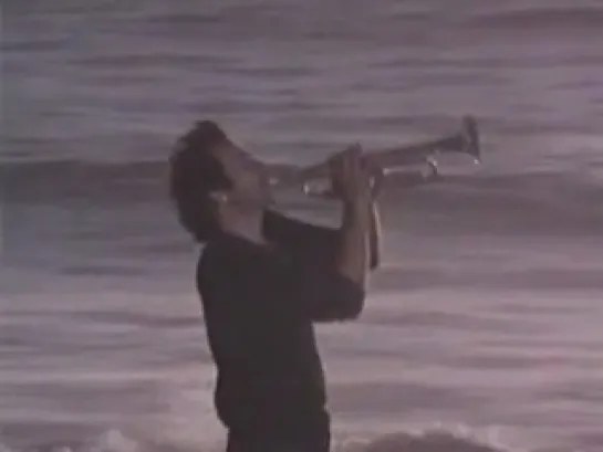 Herb Alpert - Rise (20.10.1979 - 02.11.1979)