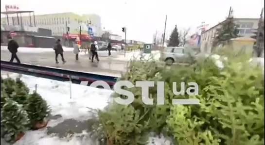 Елочный базар в Киеве. А вот в Киевском районе Донецка женщины от такого во время интервью Диане Панченко даже не вздрагивали