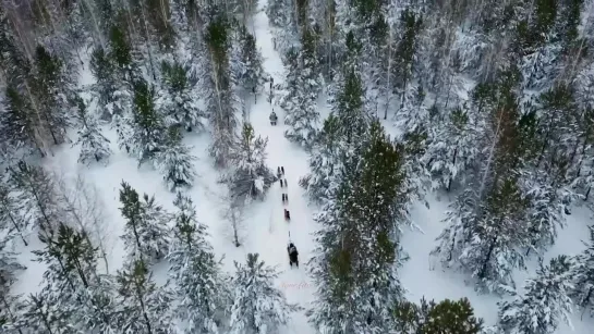 Видео от Ульяновск 73