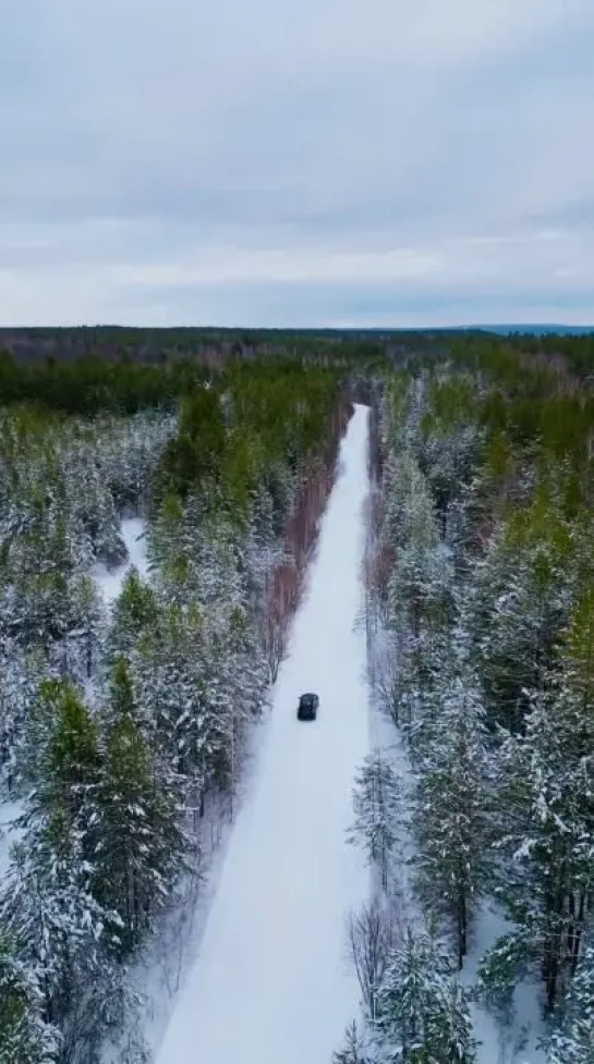 Видео от Ульяновск 73