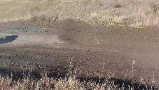 Видео от Анвара Магдеева