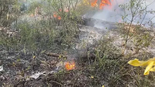 Видео от Ульяновск 73