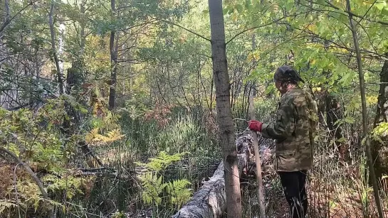 Видео от Ульяновск 73