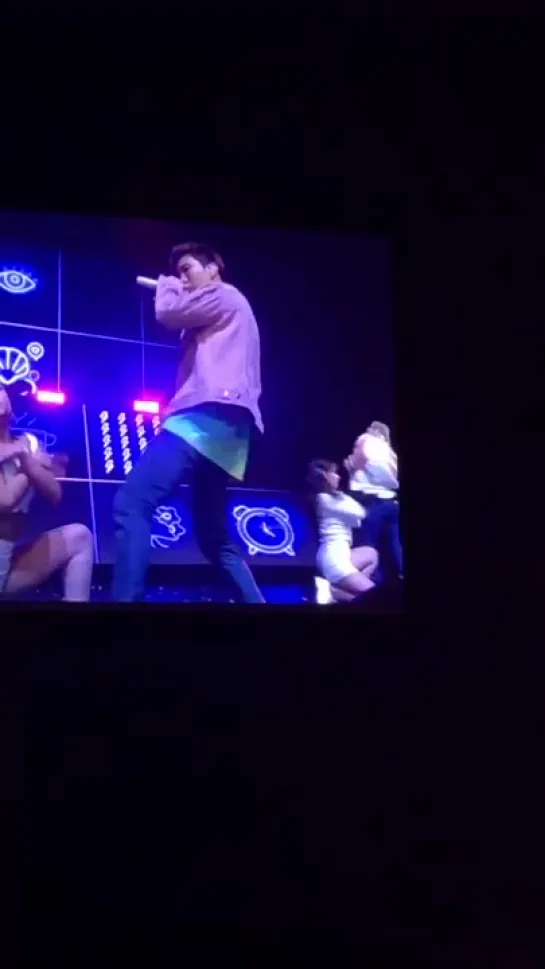 Too much is happening this video WINNER EVERYWHERE TOUR (CHICAGO)