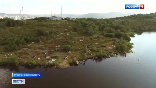 Аномальная жара на Севере