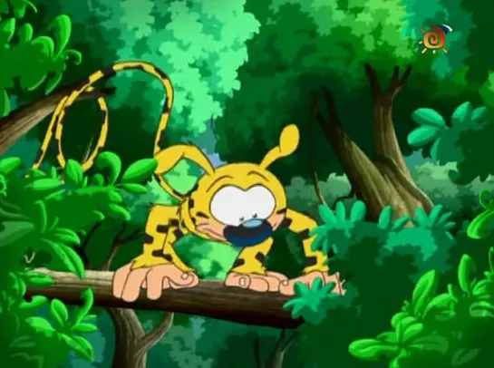 Mon ami Marsupilami s1e6