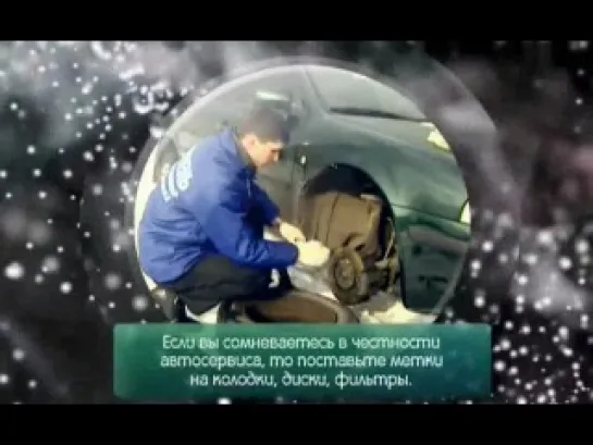 Среда обитания - выпуск 15. Левый автосервис