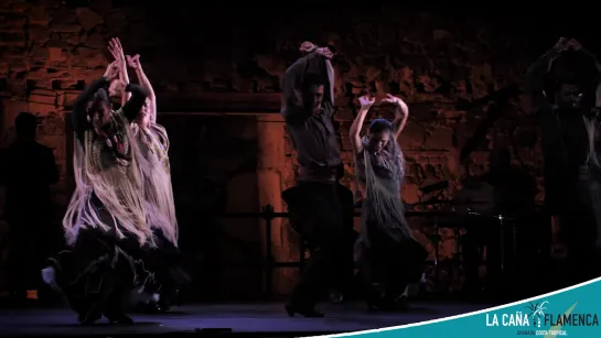 Ballet Flamenco de Andalucia "Naturalmente flamenco"