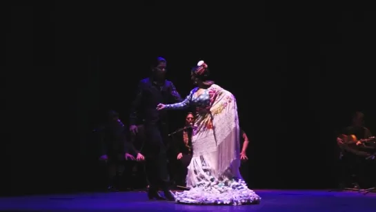 VI CONCURSO INTERNACIONAL DE BAILE FLAMENCO PURO