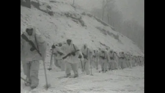 Разгром немецких войск под Москвой (1942)