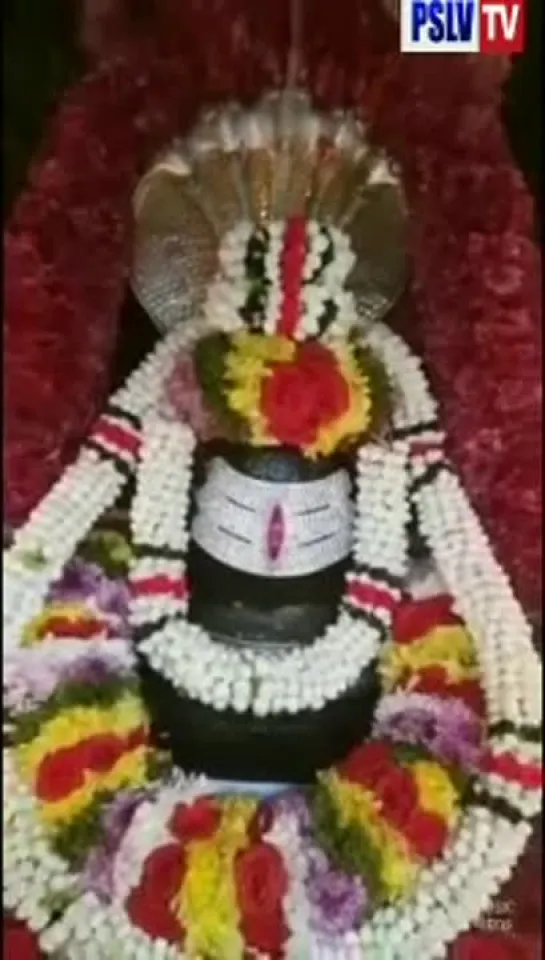 Dakshina Mukha Nandhi Theertha Kalyani Temple