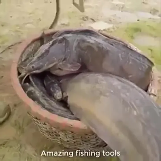 Wow.. Amazing fishing tools